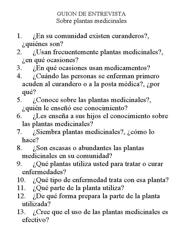 Guion de Entrevista | PDF