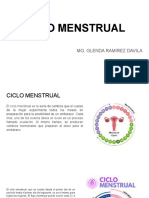 Ciclo Menstrual