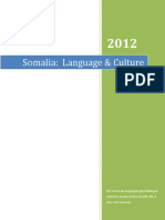 Somalia Language Culture Update