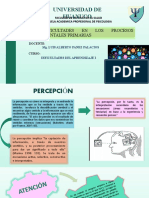 Dificultades en Los Procesos Mentales Primarias