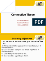 Connective Tissue