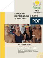 Apresentação de Projetos Simples Cinza e Laranja