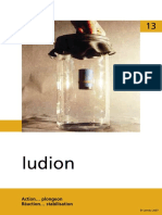 17 13 Ludion