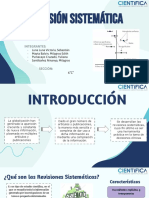 Revisión Sistematica - Epidemio - 6C - Seminario 6