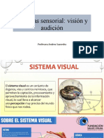 Sistemas Sensorial Visión y Audición