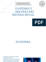 Anatomia y Fisiologia Del Sistema Renal