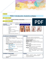 Clases Parciales Urología