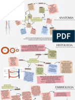 Mapa Mental Terminado