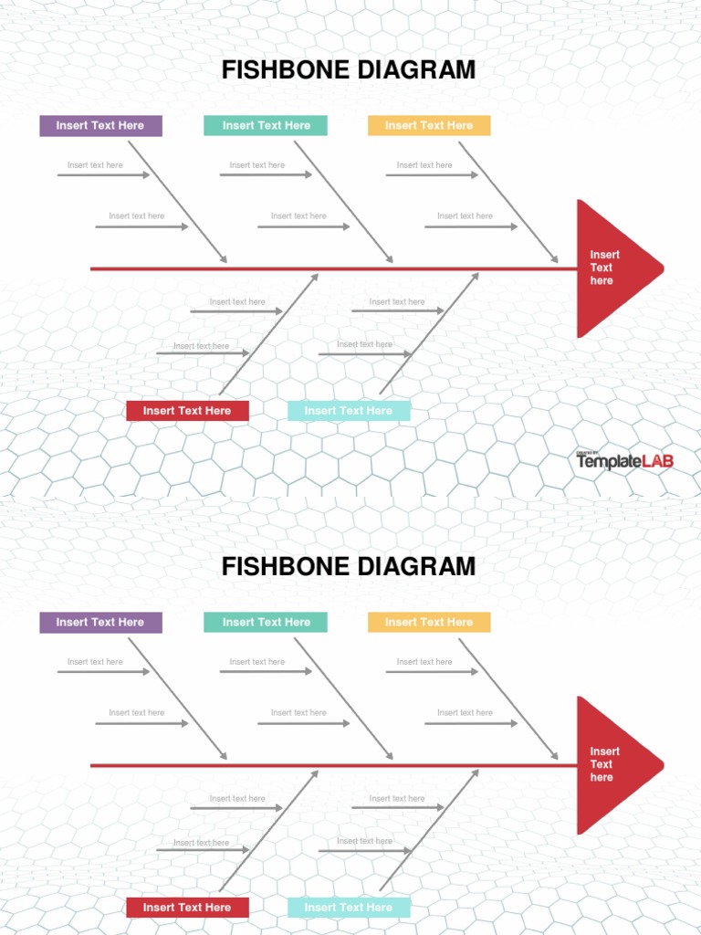Ishikawa Template PDF Quality Systems Theory