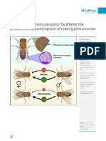 Carlos-Un Quimiorreceptor Pleiotrópico Facilita La Producción y Percepción de Las Feromonas de Apareamiento