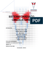 Sistema Cardio Circulatorio-1