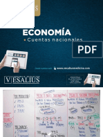 ECONOMIA - TEMA 17-Comprimido