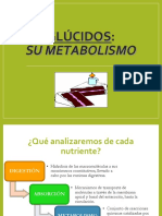 1 Metabolismo de Glucidos - 3