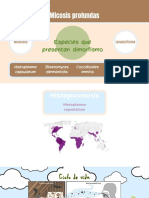 Histoplasma Capsulatum