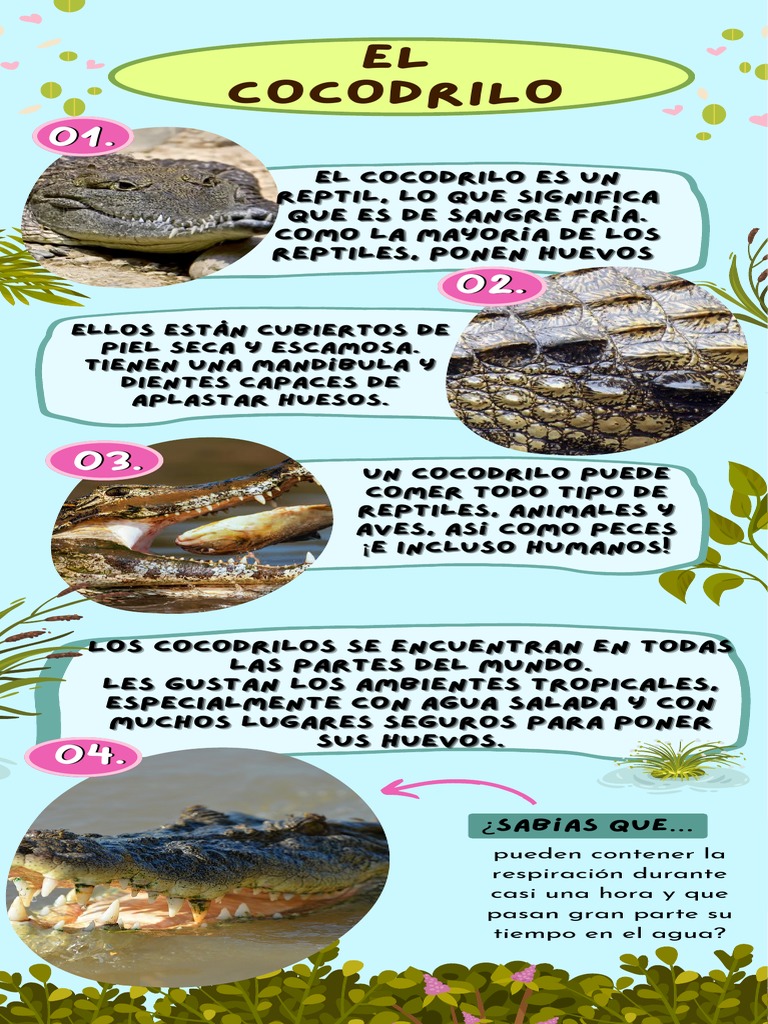 Infografia Ranas Animales Ambiental Informativa Llamativa Verde Azul ...