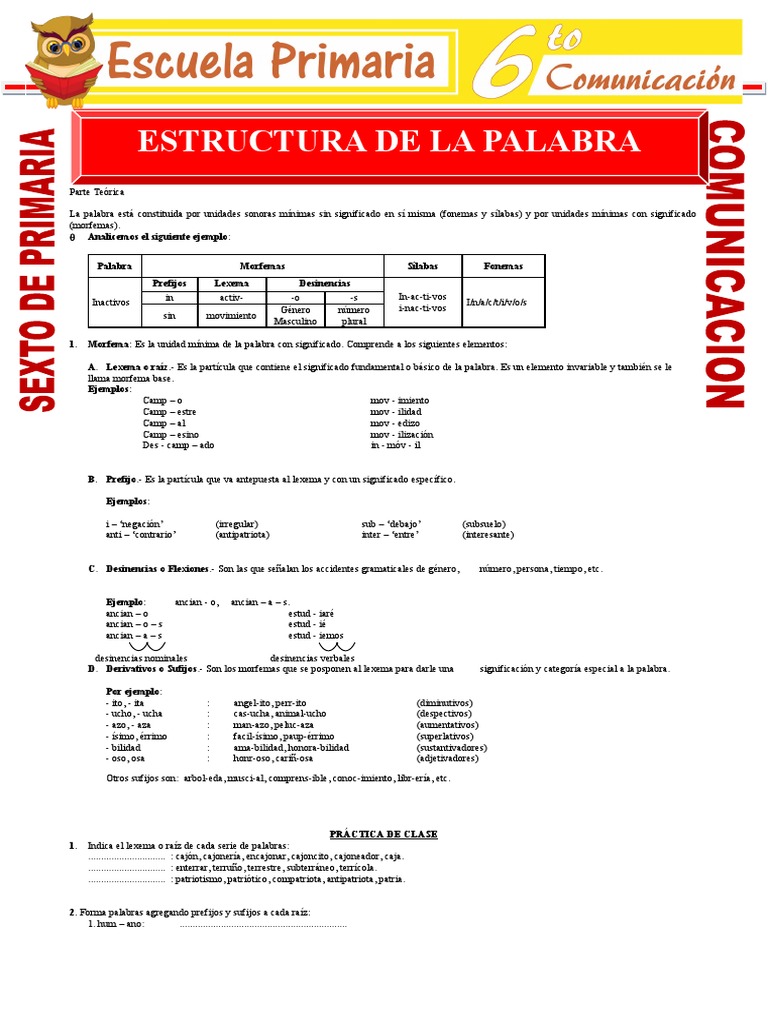 Morfología para Sexto de Primaria | PDF | Palabra | Numero Gramatical