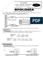 MORFOLOGÍA