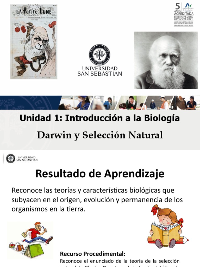 Clase 3 Darwin y Seleccion Natural - 2020 | PDF | Evolución | Seleccion ...