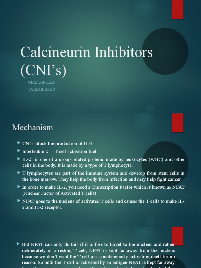 Overview of Calcineurin Inhibitors | PDF | Interleukin 2 | T Cell