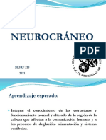Neurocráneo