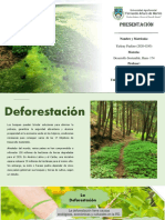 Presentación Deforestacion 