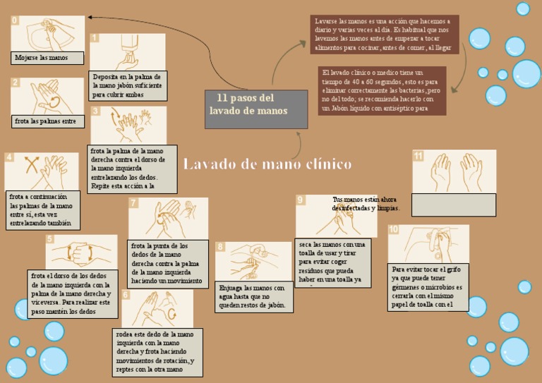 11 Pasos del Lavado de Manos Clínico | PDF | Lavado de manos | Higiene