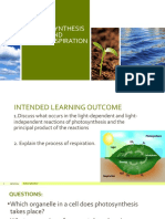 Lesson 2 Photosynthesis and Plant Respiration