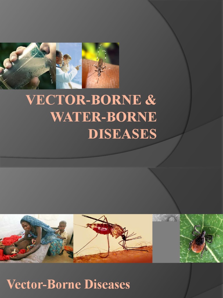 4.vector and Water BorneDiseases PDF Infection Mosquito