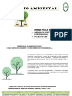 Recurso de Apoyo - Derecho Ambiental - P2