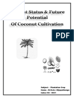 Coconut