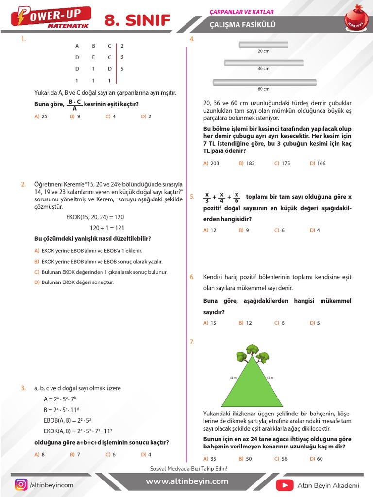 Nar Test Çarpanlar Katlar | PDF