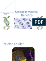 01 - Nucleo y Material Genético