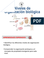 02 - Niveles de Organización.