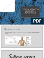 Sistema Nervioso Somático y Autonomo