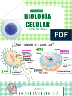 Clase n2 - Organelos Celulares