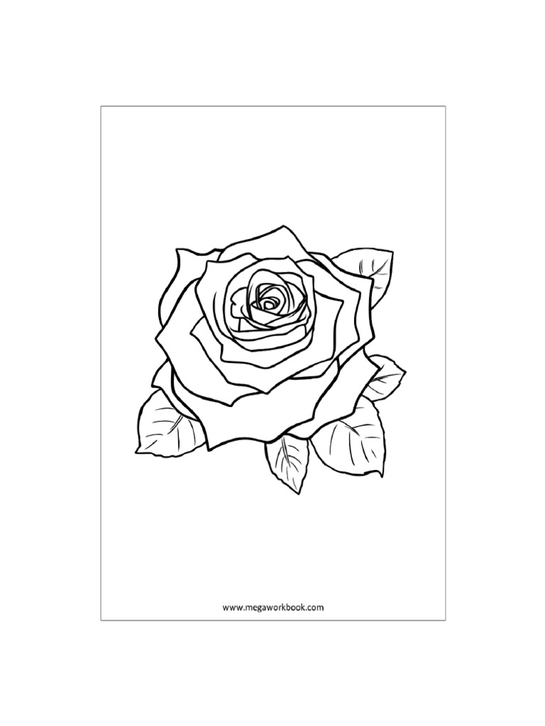Coloring Sheet Rose 1 | PDF