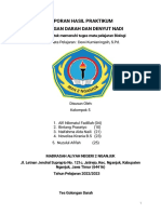 Laporan Hasil Praktikum Golongan Darah Dan Denyut Nadi