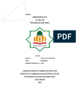 Laporan Tetap Praktikum Mikrobiologi Acara III