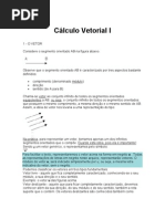 Calculo Vetorial I