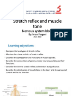 Stretch Reflex and Muscle Tone