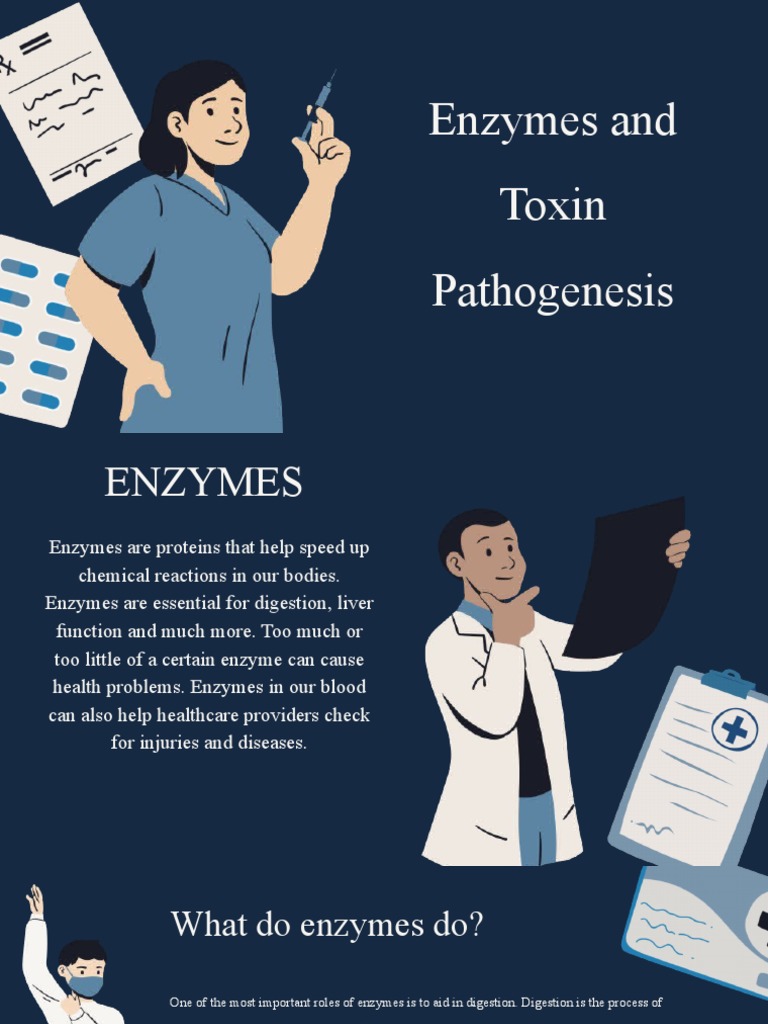 Enzymes and Toxins in Disease Pathogenesis | PDF | Digestion | Enzyme