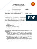 TAREA 6. Fundamentos de La Reacción en Cadena de La Polimerasa (PCR) y de La PCR en Tiempo Real