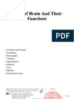 Parts of Brain and Their Functions
