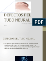 Defectos Del Tubo Neural