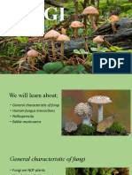 FUNGI