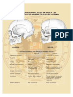 cuaderno de practicas