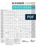 Calendario Nacional Vacunacion 