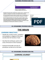 Lesson+4+ (The+Brain) + +APa 1