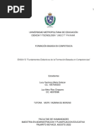 Ensayo Formacion Basada en Competencias