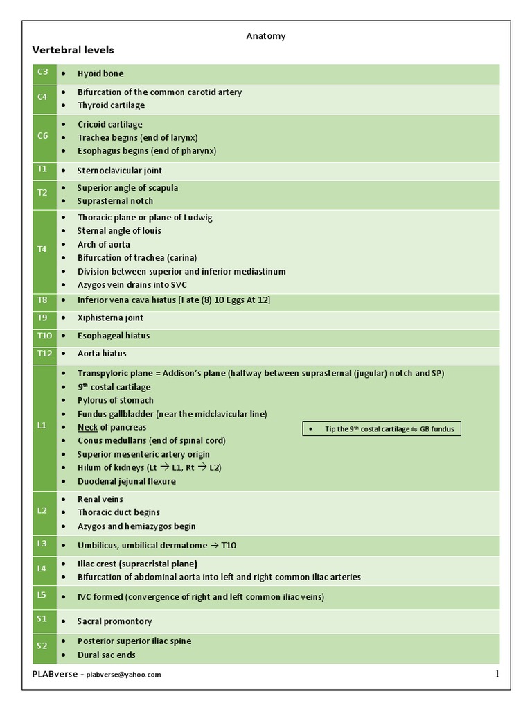 Anatomy Overview and Key Concepts | PDF | Myocardial Infarction | Heart